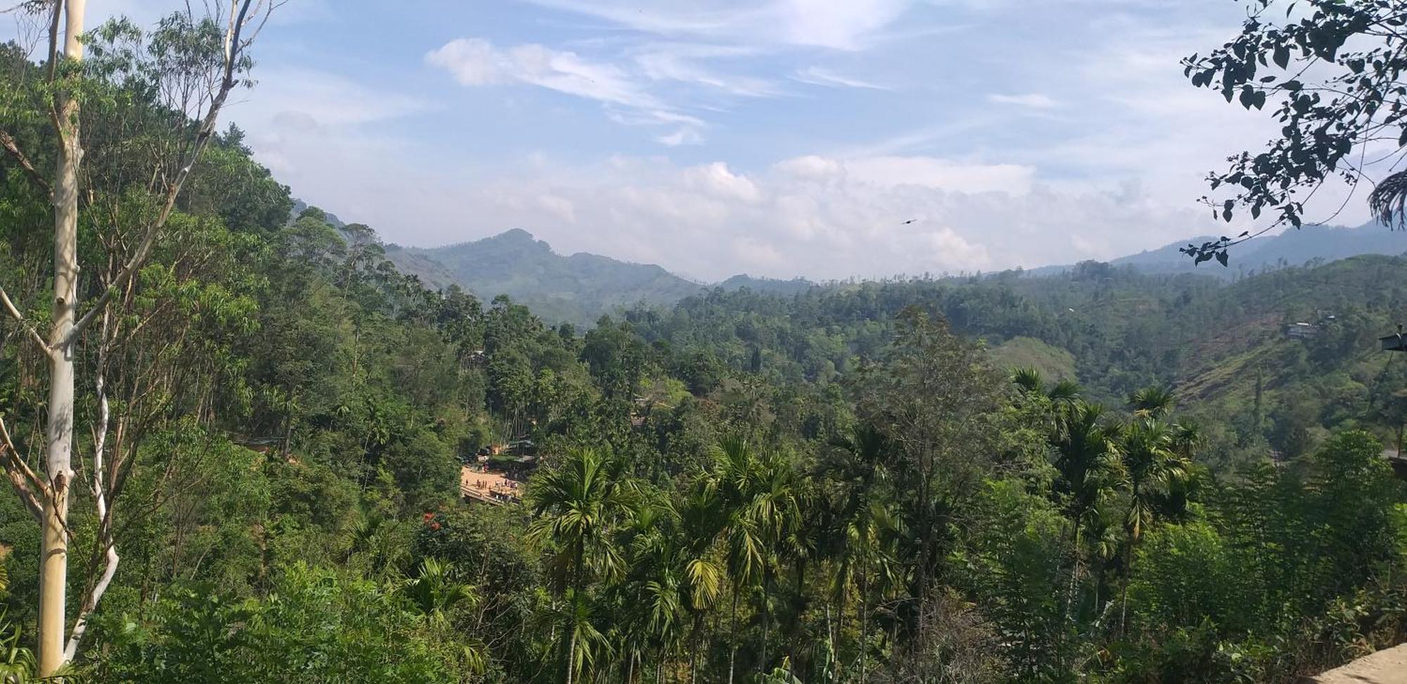 إيلا Nine Arch Araliya Homestay المظهر الخارجي الصورة