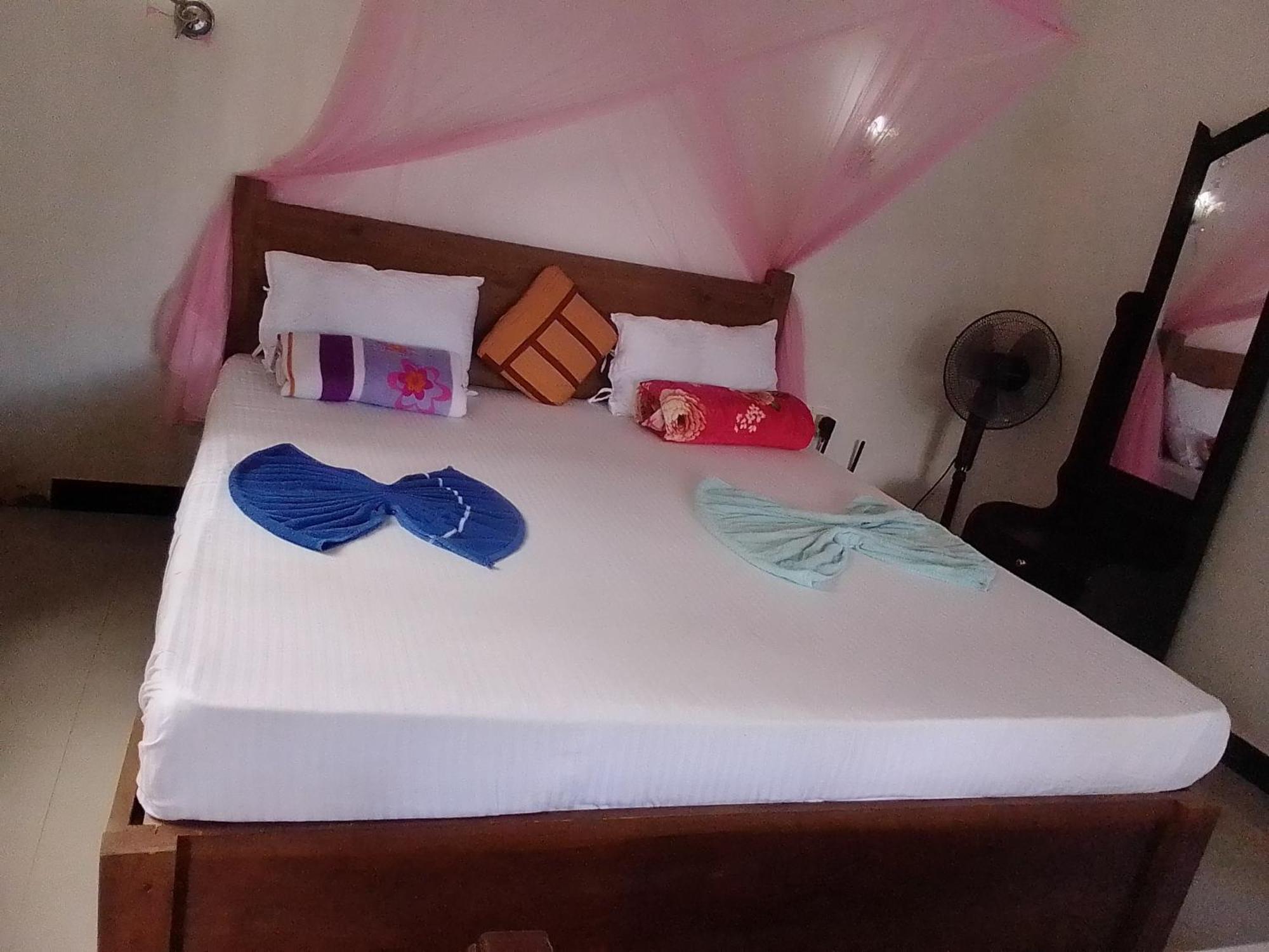 إيلا Nine Arch Araliya Homestay المظهر الخارجي الصورة
